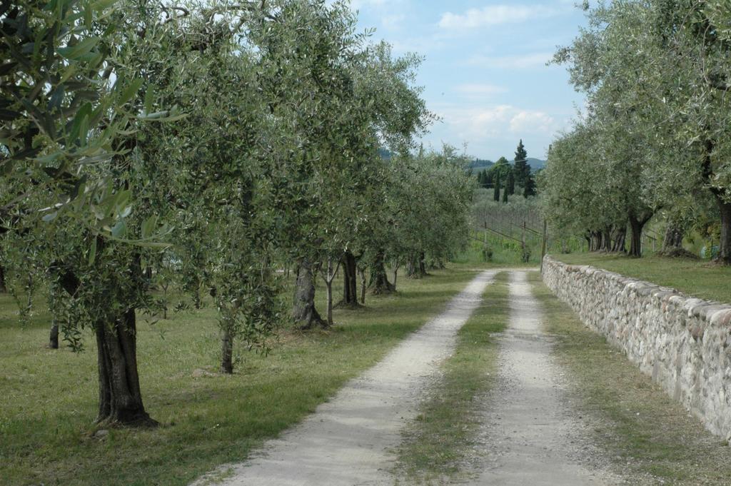 Agriturismo Tenuta La Pergola บาร์โดลิโน ภายนอก รูปภาพ