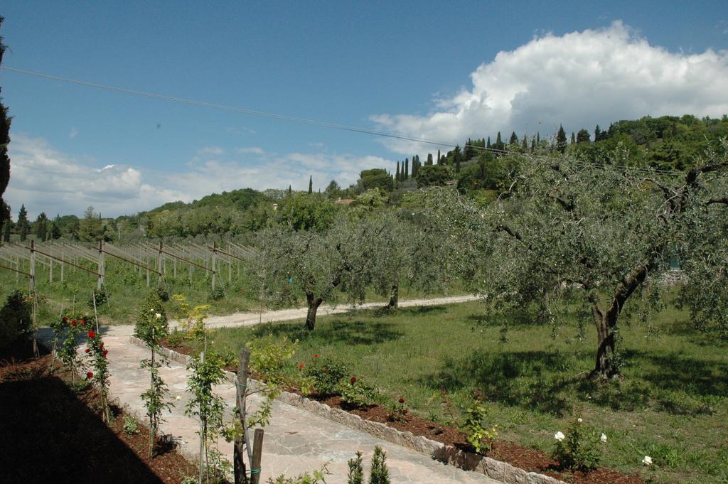 Agriturismo Tenuta La Pergola บาร์โดลิโน ภายนอก รูปภาพ