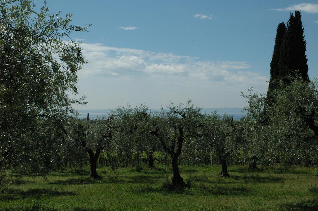 Agriturismo Tenuta La Pergola บาร์โดลิโน ภายนอก รูปภาพ