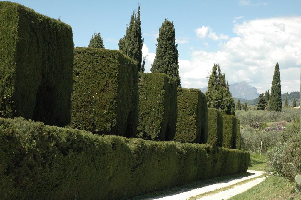 Agriturismo Tenuta La Pergola บาร์โดลิโน ภายนอก รูปภาพ