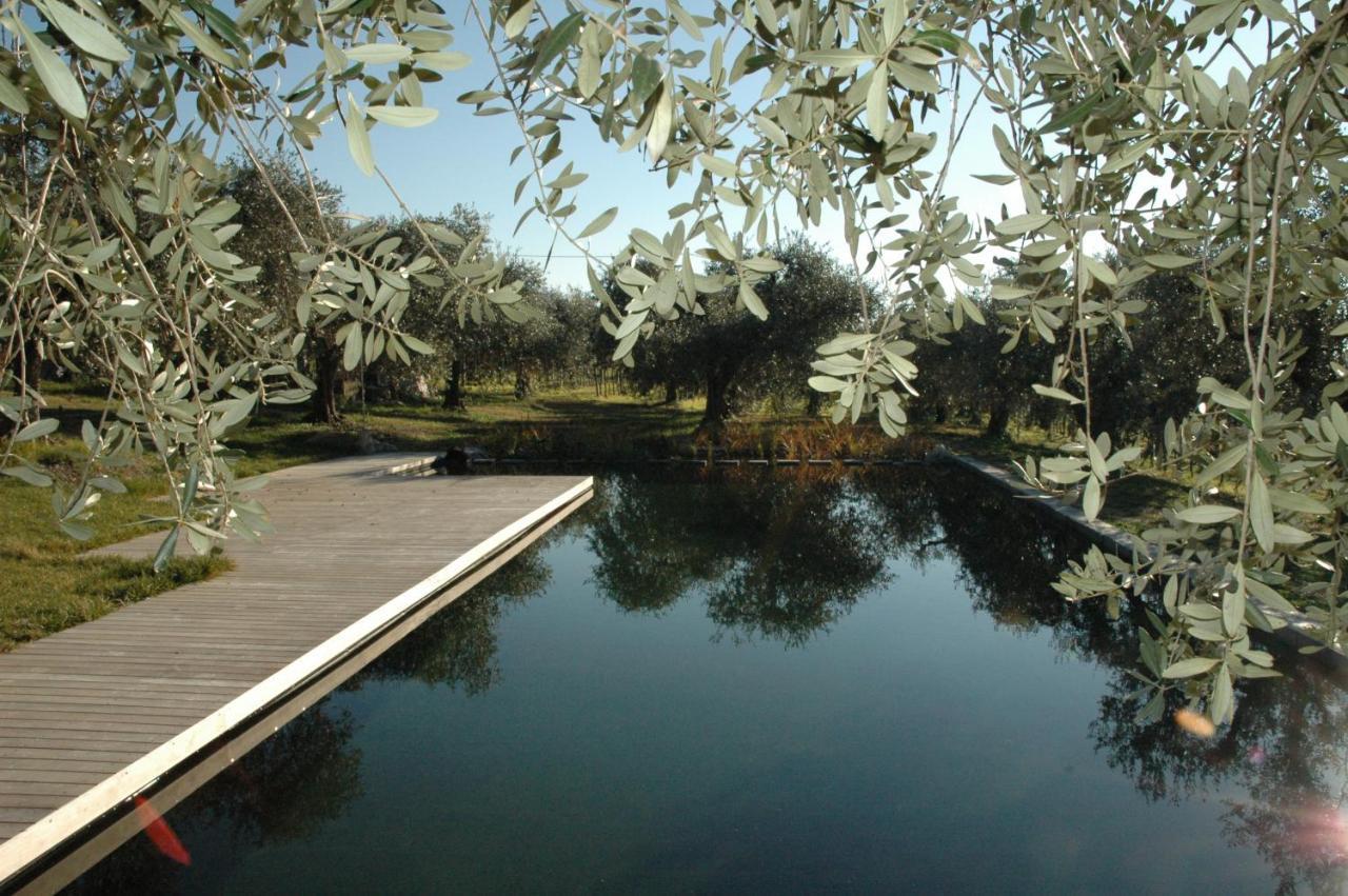 Agriturismo Tenuta La Pergola บาร์โดลิโน ภายนอก รูปภาพ