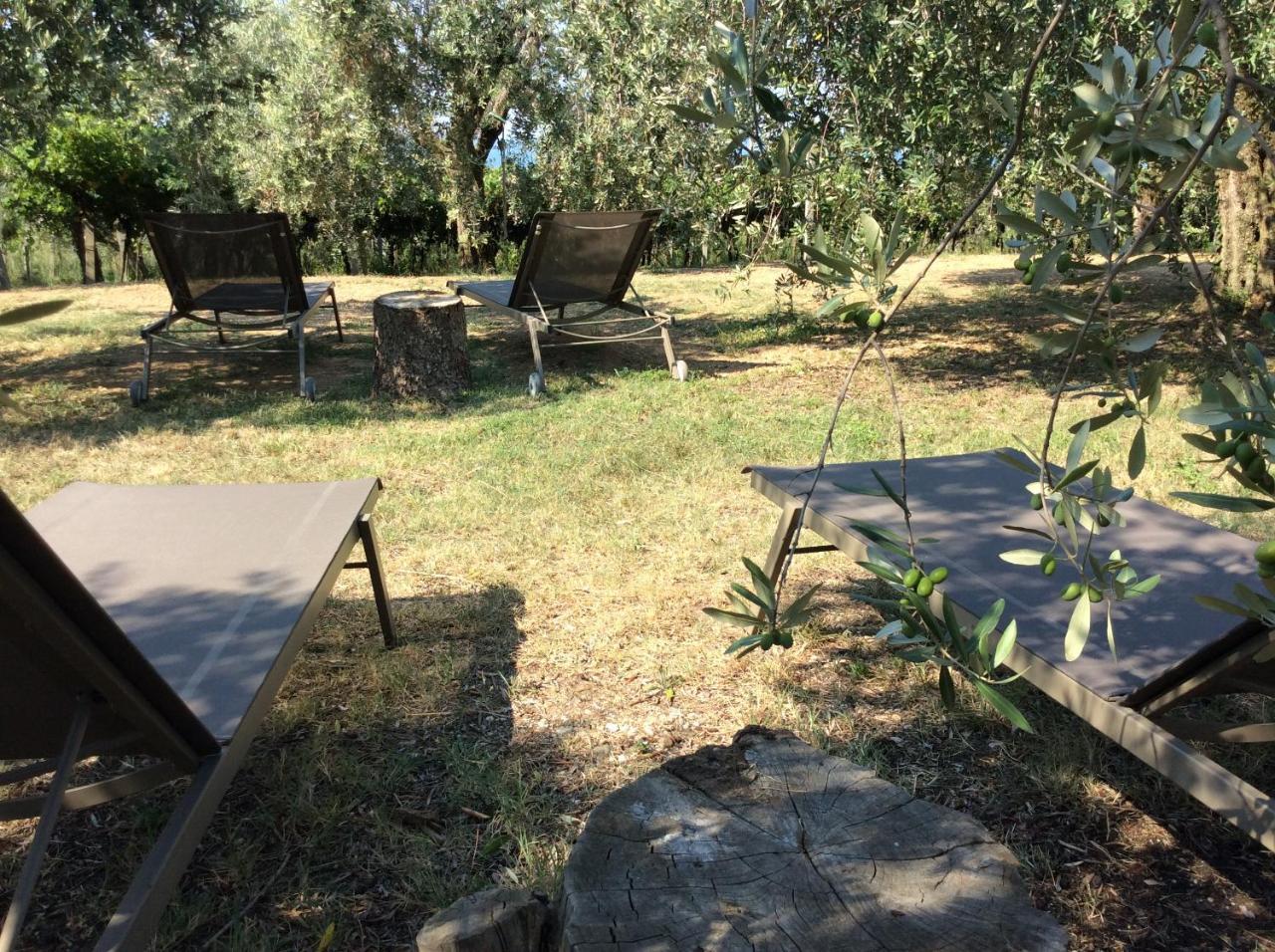 Agriturismo Tenuta La Pergola บาร์โดลิโน ภายนอก รูปภาพ
